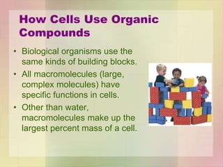 How Cells Use Organic
Compounds
• Biological organisms use the
same kinds of building blocks.
• All macromolecules (large,
complex molecules) have
specific functions in cells.
• Other than water,
macromolecules make up the
largest percent mass of a cell.
 