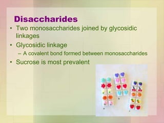 Disaccharides
• Two monosaccharides joined by glycosidic
linkages
• Glycosidic linkage
– A covalent bond formed between monosaccharides
• Sucrose is most prevalent
 