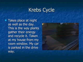 Krebs Cycle Takes place at night as well as the day. This is the way plants gather their energy and recycle it. Taken at my house from my room window. My car is parked in the drive way.  