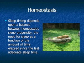 Homeostasis Sleep timing depends upon a balance between homeostatic sleep propensity, the need for sleep as a function of the amount of time elapsed since the last adequate sleep time. 