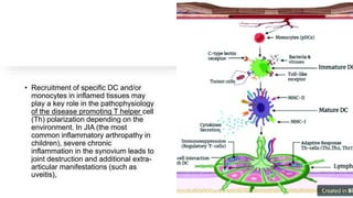 • Recruitment of specific DC and/or
monocytes in inflamed tissues may
play a key role in the pathophysiology
of the disease promoting T helper cell
(Th) polarization depending on the
environment. In JIA (the most
common inflammatory arthropathy in
children), severe chronic
inflammation in the synovium leads to
joint destruction and additional extra-
articular manifestations (such as
uveitis),
 