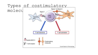 Types of costimulatory
molecules
 