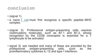 conclusion
• (signal 1).
• a naive T cell must first recognize a specific peptide–MHC
complex
• (signal 2). Professional antigen-presenting cells express
costimulatory molecules, such as B7.1 and B7.2, whose
recognition by the CD28 coreceptor is essential for a T
lymphocyte to be activated
• signal 3) :are needed and many of these are provided by the
professional antigen-presenting cells, such as the
proinflammatory cytokines IL-12 and type I interferon.
 