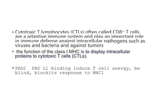 • Cytotoxic T lymphocytes (CTLs) often called CD8+ T cells,
are a adaptive immune system and play an important role
in immune defense against intracellular pathogens such as
viruses and bacteria and against tumors
• the function of the class I MHC is to display intracellular
proteins to cytotoxic T cells (CTLs).
• PAD1 PAD L1 binding induce T cell anergy, be
blind, blockits response to MHC1
 