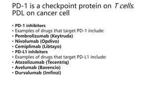 PD-1 is a checkpoint protein on T cells.
PDL on cancer cell
• PD-1 inhibitors
• Examples of drugs that target PD-1 include:
• Pembrolizumab (Keytruda)
• Nivolumab (Opdivo)
• Cemiplimab (Libtayo)
• PD-L1 inhibitors
• Examples of drugs that target PD-L1 include:
• Atezolizumab (Tecentriq)
• Avelumab (Bavencio)
• Durvalumab (Imfinzi)
 