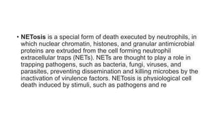 • NETosis is a special form of death executed by neutrophils, in
which nuclear chromatin, histones, and granular antimicrobial
proteins are extruded from the cell forming neutrophil
extracellular traps (NETs). NETs are thought to play a role in
trapping pathogens, such as bacteria, fungi, viruses, and
parasites, preventing dissemination and killing microbes by the
inactivation of virulence factors. NETosis is physiological cell
death induced by stimuli, such as pathogens and re
 