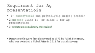 Requirment for Ag
presentatioin
• 1- endocytosis and proteolytic digest protein
• 2-express Class II or class I for Ag
presentation
• 3- secrete co stimulatory molecules?
• Dentritic cells were first discovered in 1973 by Ralph Steinman,
who was awarded a Nobel Prize in 2011 for that discovery.
 