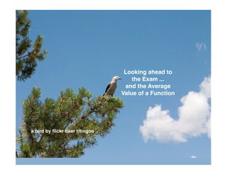 Looking ahead to
                                    the Exam ...
                                 and the Average
                                Value of a Function




a bird by ﬂickr user ritingon
 