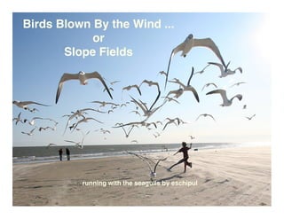 Birds Blown By the Wind ...
            or
       Slope Fields




          running with the seagulls by eschipul
 