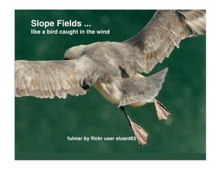 Slope Fields ...
like a bird caught in the wind




             fulmar by ﬂickr user stuant63
 