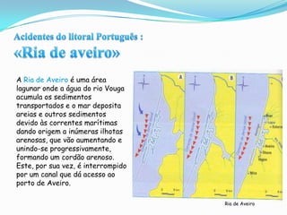  os estuários do Tejo e do SadoAcidentes do litoral Português :«Ria de aveiro»A Ria de Aveiro é uma área lagunar onde a água do rio Vouga acumula os sedimentos  transportados e o mar deposita areias e outros sedimentos devido às correntes marítimas dando origem a inúmeras ilhotas arenosas, que vão aumentando e unindo-se progressivamente, formando um cordão arenoso. Este, por sua vez, é interrompido por um canal que dá acesso ao porto de Aveiro. Ria de Aveiro