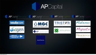 AP Capital Company Profile | PDF