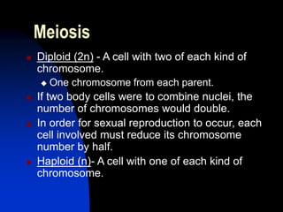 AP Cell Cycle-Mitosis and Meiosis.ppt