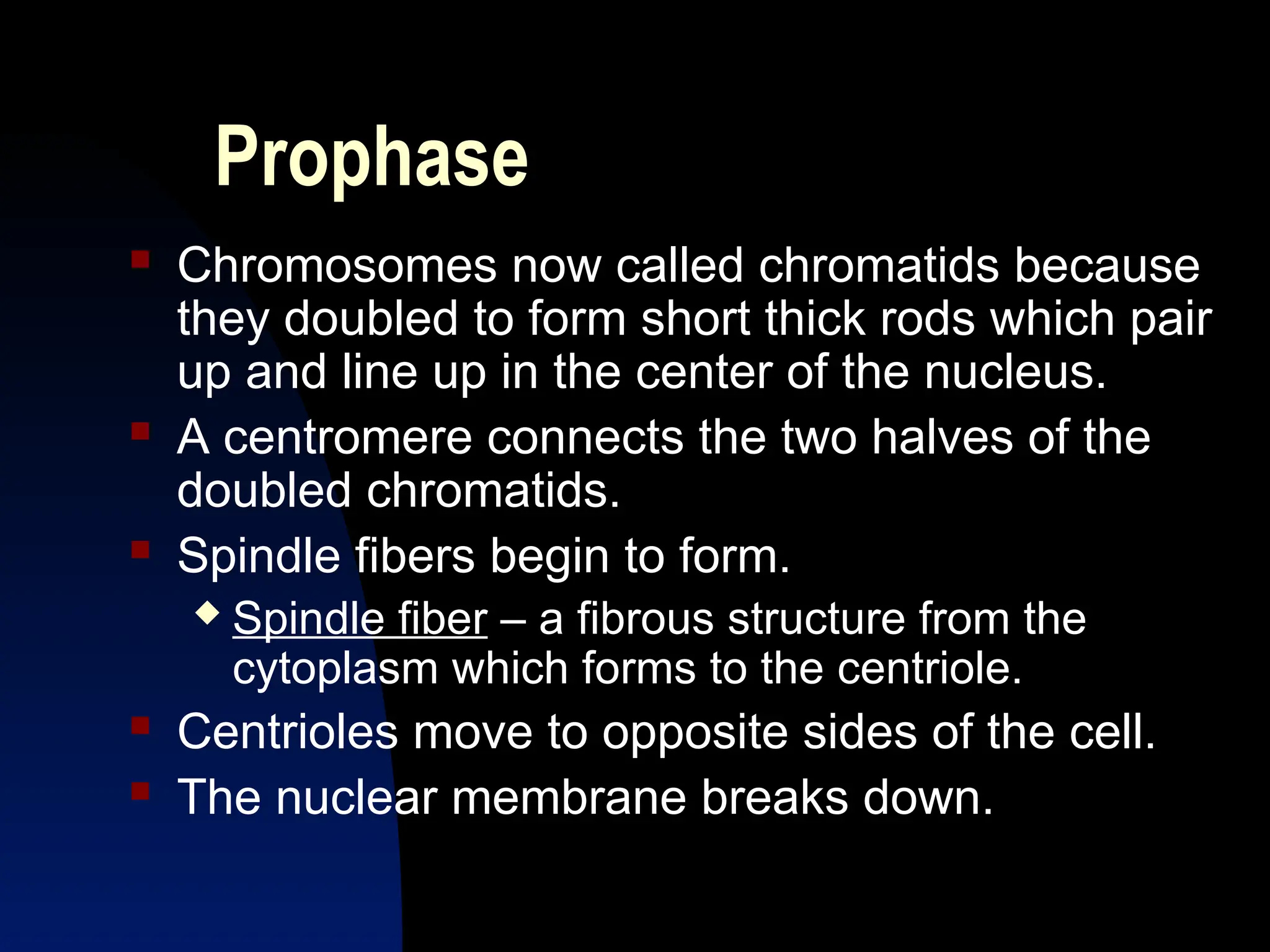 AP Cell Cycle-Mitosis and Meiosis.presentation | PPT