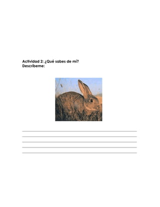 Actividad 2: ¿Qué sabes de mí?
Descríbeme:




_________________________________________________________________________
_________________________________________________________________________
_________________________________________________________________________
_________________________________________________________________________
_________________________________________________________________________
 
