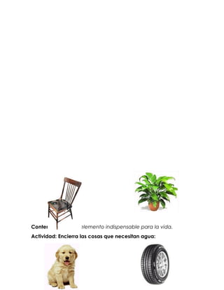 Contenido: El agua elemento indispensable para la vida.
Actividad: Encierra las cosas que necesitan agua:
 