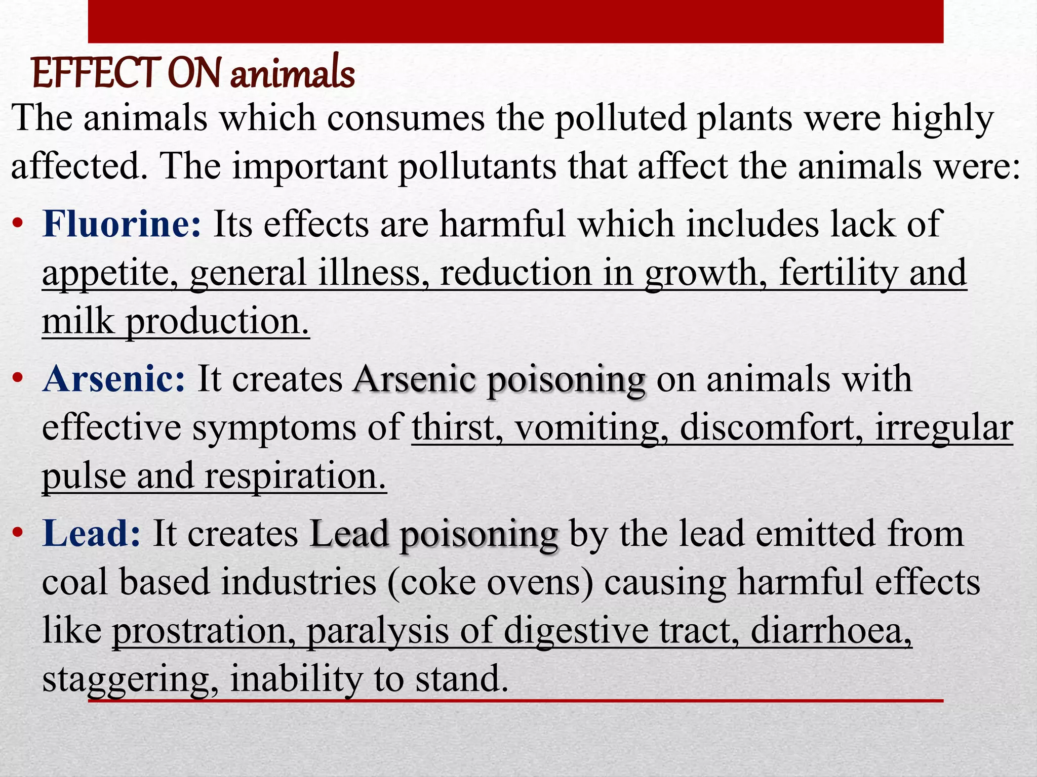 EFFECT ON animals
The animals which consumes the polluted plants were highly
affected. The important pollutants that affect the animals were:
• Fluorine: Its effects are harmful which includes lack of
appetite, general illness, reduction in growth, fertility and
milk production.
• Arsenic: It creates Arsenic poisoning on animals with
effective symptoms of thirst, vomiting, discomfort, irregular
pulse and respiration.
• Lead: It creates Lead poisoning by the lead emitted from
coal based industries (coke ovens) causing harmful effects
like prostration, paralysis of digestive tract, diarrhoea,
staggering, inability to stand.
 