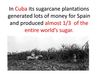 In Cuba its sugarcane plantations
generated lots of money for Spain
 and produced almost 1/3 of the
       entire world’s sugar.
 