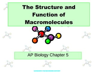 The Structure and Function of Macromolecules AP Biology Chapter 5 