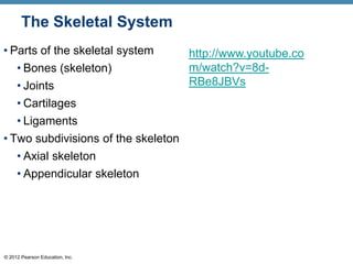 The Skeletal System
• Parts of the skeletal system       http://www.youtube.co
   • Bones (skeleton)                m/watch?v=8d-
   • Joints                          RBe8JBVs
   • Cartilages
   • Ligaments
• Two subdivisions of the skeleton
   • Axial skeleton
   • Appendicular skeleton




© 2012 Pearson Education, Inc.
 