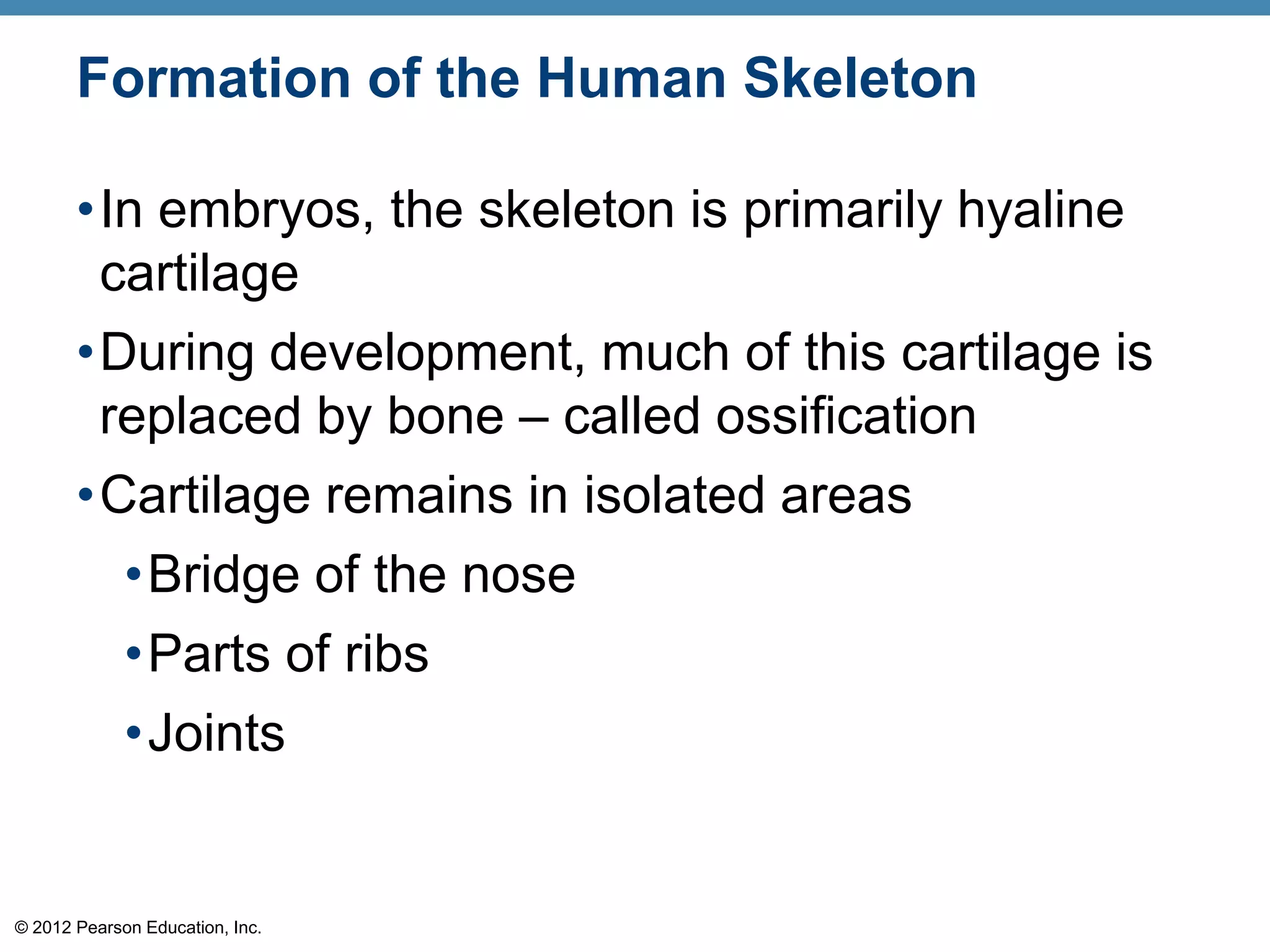 Formation of the Human Skeleton

       •In embryos, the skeleton is primarily hyaline
        cartilage
       •During development, much of this cartilage is
        replaced by bone – called ossification
       •Cartilage remains in isolated areas
             •Bridge of the nose
             •Parts of ribs
             •Joints


© 2012 Pearson Education, Inc.
 