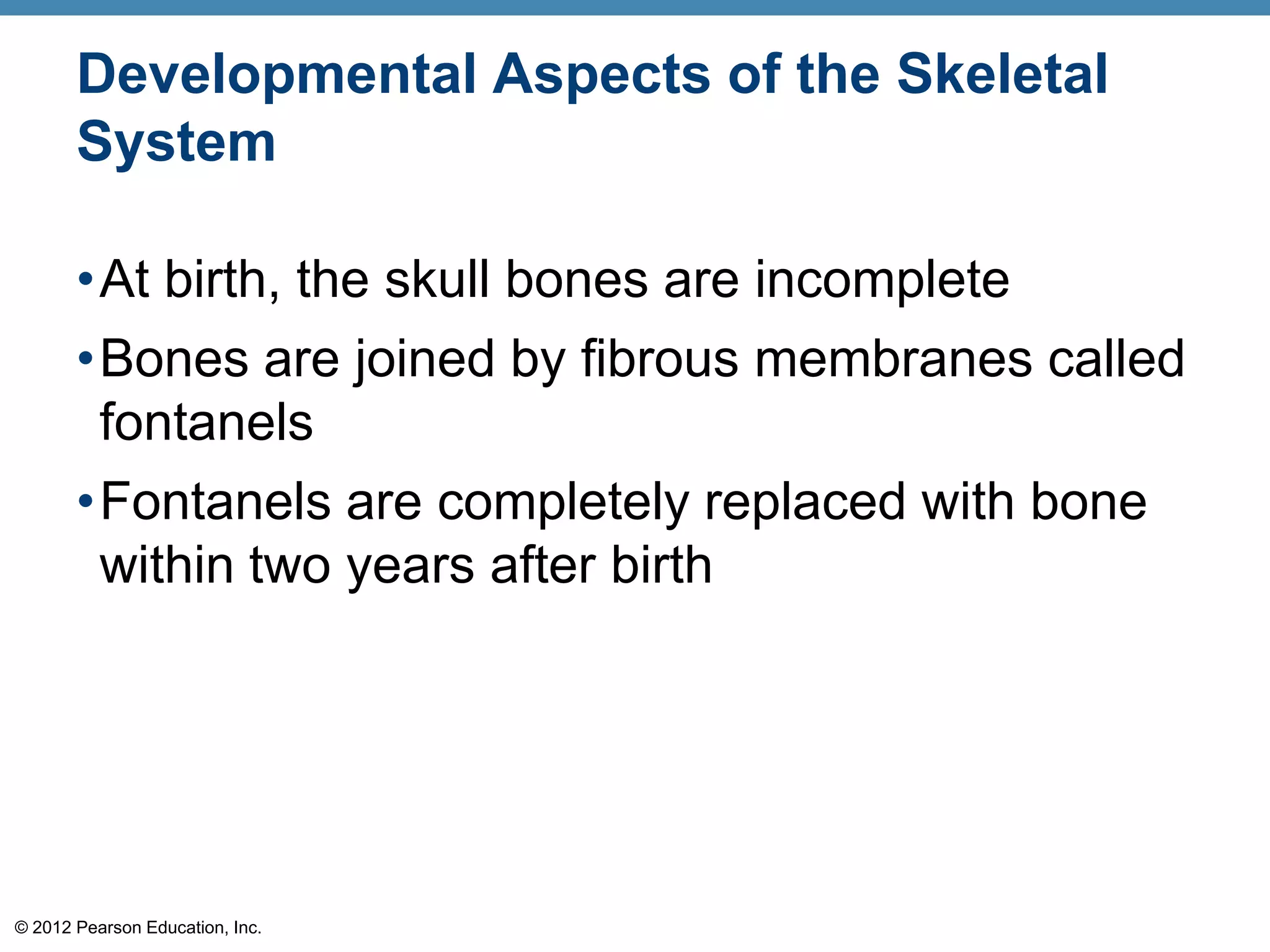 Developmental Aspects of the Skeletal
       System

       •At birth, the skull bones are incomplete
       •Bones are joined by fibrous membranes called
        fontanels
       •Fontanels are completely replaced with bone
        within two years after birth




© 2012 Pearson Education, Inc.
 