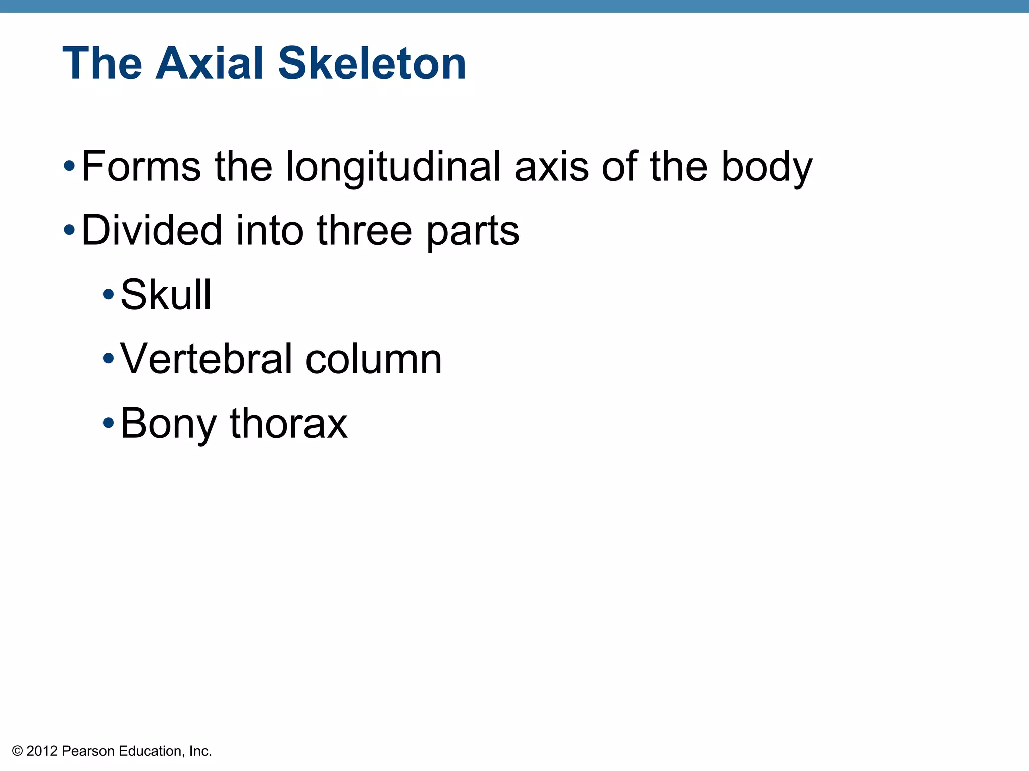 The Axial Skeleton

       •Forms the longitudinal axis of the body
       •Divided into three parts
             •Skull
             •Vertebral column
             •Bony thorax




© 2012 Pearson Education, Inc.
 
