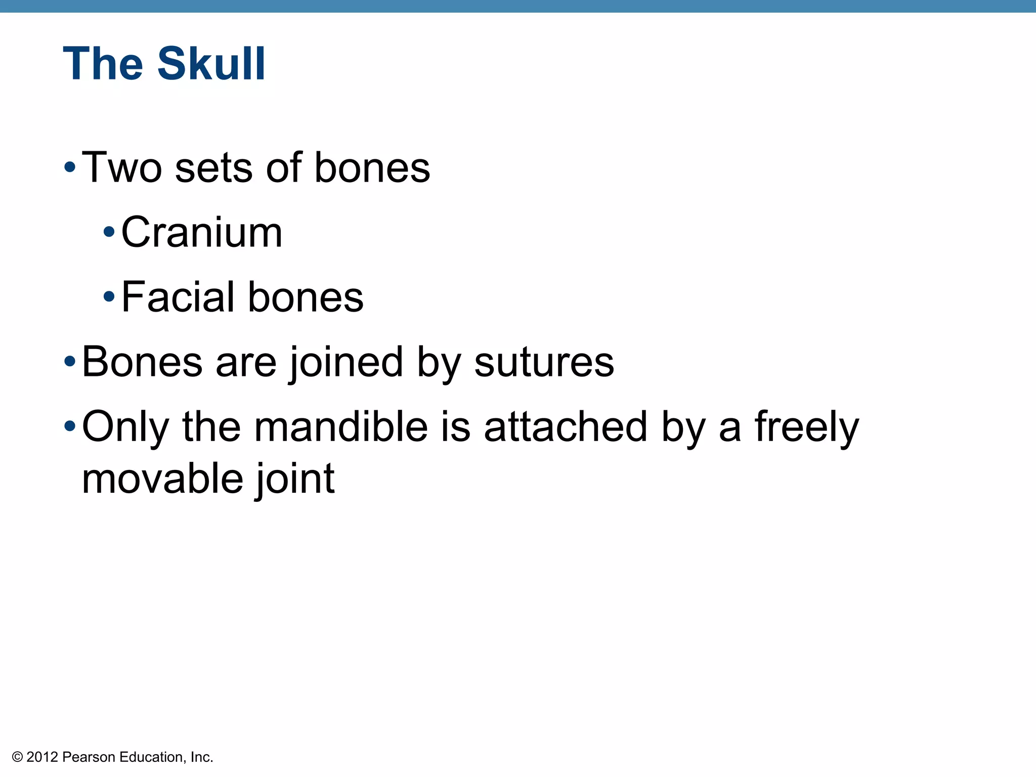 The Skull

       •Two sets of bones
         •Cranium
         •Facial bones
       •Bones are joined by sutures
       •Only the mandible is attached by a freely
        movable joint




© 2012 Pearson Education, Inc.
 