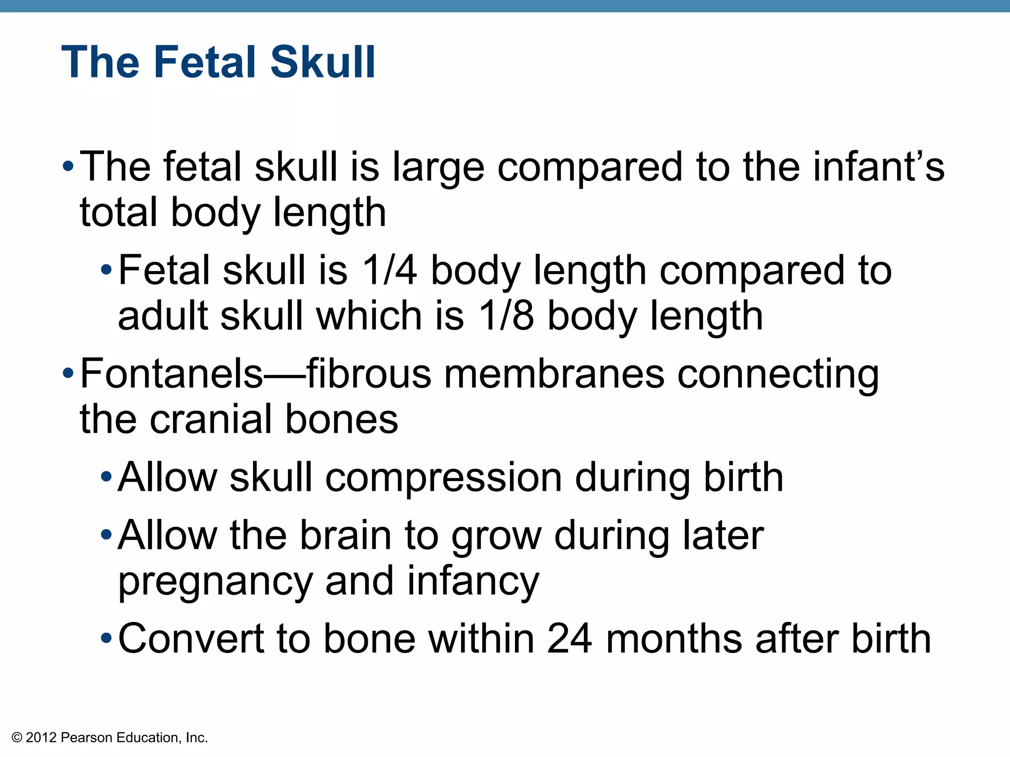 The Fetal Skull

       •The fetal skull is large compared to the infant’s
        total body length
         •Fetal skull is 1/4 body length compared to
          adult skull which is 1/8 body length
       •Fontanels—fibrous membranes connecting
        the cranial bones
         •Allow skull compression during birth
         •Allow the brain to grow during later
          pregnancy and infancy
         •Convert to bone within 24 months after birth

© 2012 Pearson Education, Inc.
 