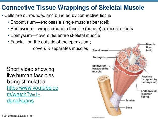a p chapter 6 Bureau of medicine and surgery navmed p-5010-6 (rev 7-2005) washington, dc 20372-5300 0510-lp-103-9057 manual of naval preventive medicine. a p chapter 6 Bureau of medicine and surgery navmed p-5010-6 (rev 7-2005) washington, dc 20372-5300 0510-lp-103-9057 manual of naval preventive medicine.