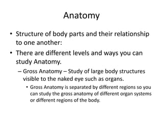 Anatomy
• Structure of body parts and their relationship
to one another:
• There are different levels and ways you can
study Anatomy.
– Gross Anatomy – Study of large body structures
visible to the naked eye such as organs.
• Gross Anatomy is separated by different regions so you
can study the gross anatomy of different organ systems
or different regions of the body.
 