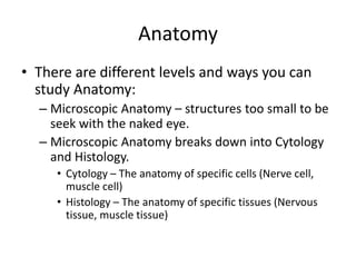 Anatomy
• There are different levels and ways you can
study Anatomy:
– Microscopic Anatomy – structures too small to be
seek with the naked eye.
– Microscopic Anatomy breaks down into Cytology
and Histology.
• Cytology – The anatomy of specific cells (Nerve cell,
muscle cell)
• Histology – The anatomy of specific tissues (Nervous
tissue, muscle tissue)
 