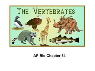 AP Bio Chapter 34 