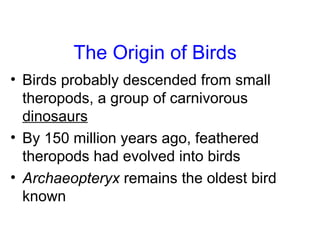 <ul><li>Birds probably descended from small theropods, a group of carnivorous  dinosaurs </li></ul><ul><li>By 150 million ...