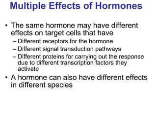 Multiple Effects of Hormones The same hormone may have different effects on target cells that have Different receptors for the hormone Different signal transduction pathways Different proteins for carrying out the response due to different transcription factors they activate A hormone can also have different effects in different species 