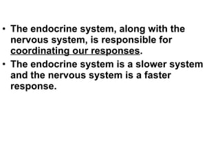 The endocrine system, along with the nervous system, is responsible for  coordinating our responses .  The endocrine system is a slower system and the nervous system is a faster response. 