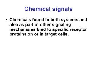 Chemical signals Chemicals found in both systems and also as part of other signaling mechanisms bind to specific receptor proteins on or in target cells. 
