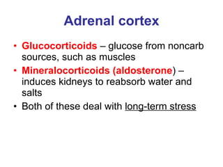 Adrenal cortex Glucocorticoids  – glucose from noncarb sources, such as muscles Mineralocorticoids (aldosterone ) – induces kidneys to reabsorb water and salts Both of these deal with  long-term stress 