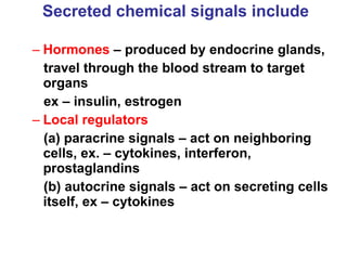 Secreted chemical signals include   Hormones  – produced by endocrine glands, travel through the blood stream to target organs ex – insulin, estrogen Local regulators (a) paracrine signals – act on neighboring cells, ex. – cytokines, interferon, prostaglandins (b) autocrine signals – act on secreting cells itself, ex – cytokines  