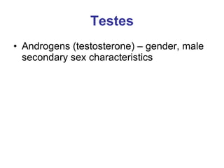 Testes Androgens (testosterone) – gender, male secondary sex characteristics 