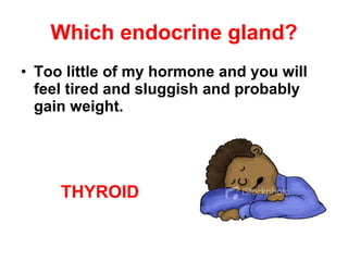 Which endocrine gland? Too little of my hormone and you will feel tired and sluggish and probably gain weight. THYROID 