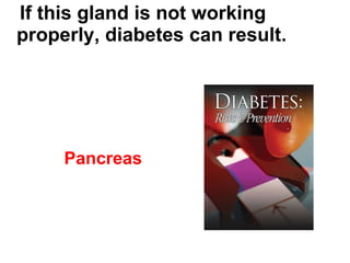 If this gland is not working properly, diabetes can result. Pancreas 