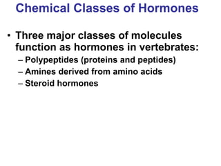 Chemical Classes of Hormones Three major classes of molecules function as hormones in vertebrates: Polypeptides (proteins and peptides) Amines derived from amino acids Steroid hormones 