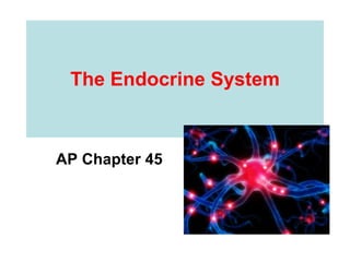 The Endocrine System AP Chapter 45 