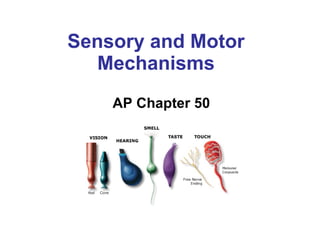Sensory and Motor Mechanisms AP Chapter 50 