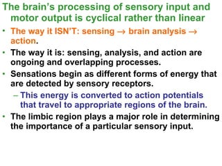 Ap chap 50 sensory perception and motor action | PPT
