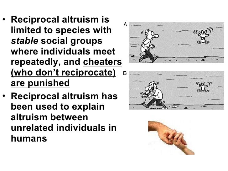 Natural Selection And Reciprocal Altruism Natural Selection And Reciprocal Altruism