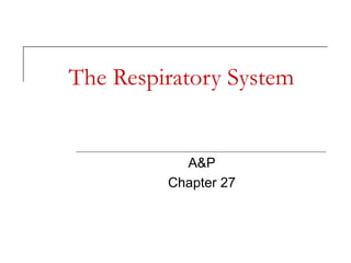 The Respiratory System A&P Chapter 27 