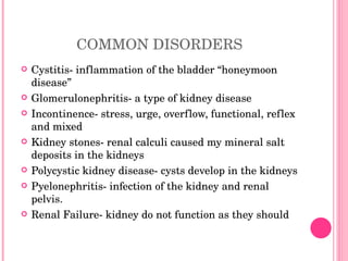 COMMON DISORDERS Cystitis- inflammation of the bladder “honeymoon disease” Glomerulonephritis- a type of kidney disease Incontinence- stress, urge, overflow, functional, reflex and mixed Kidney stones- renal calculi caused my mineral salt deposits in the kidneys Polycystic kidney disease- cysts develop in the kidneys Pyelonephritis- infection of the kidney and renal pelvis. Renal Failure- kidney do not function as they should 