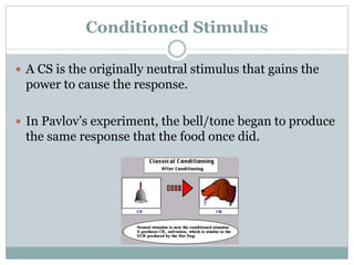 Conditioned Stimulus
 A CS is the originally neutral stimulus that gains the
power to cause the response.
 In Pavlov’s experiment, the bell/tone began to produce
the same response that the food once did.
 